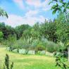images/Schweden/Schweden 2009/IMG_4471.jpg